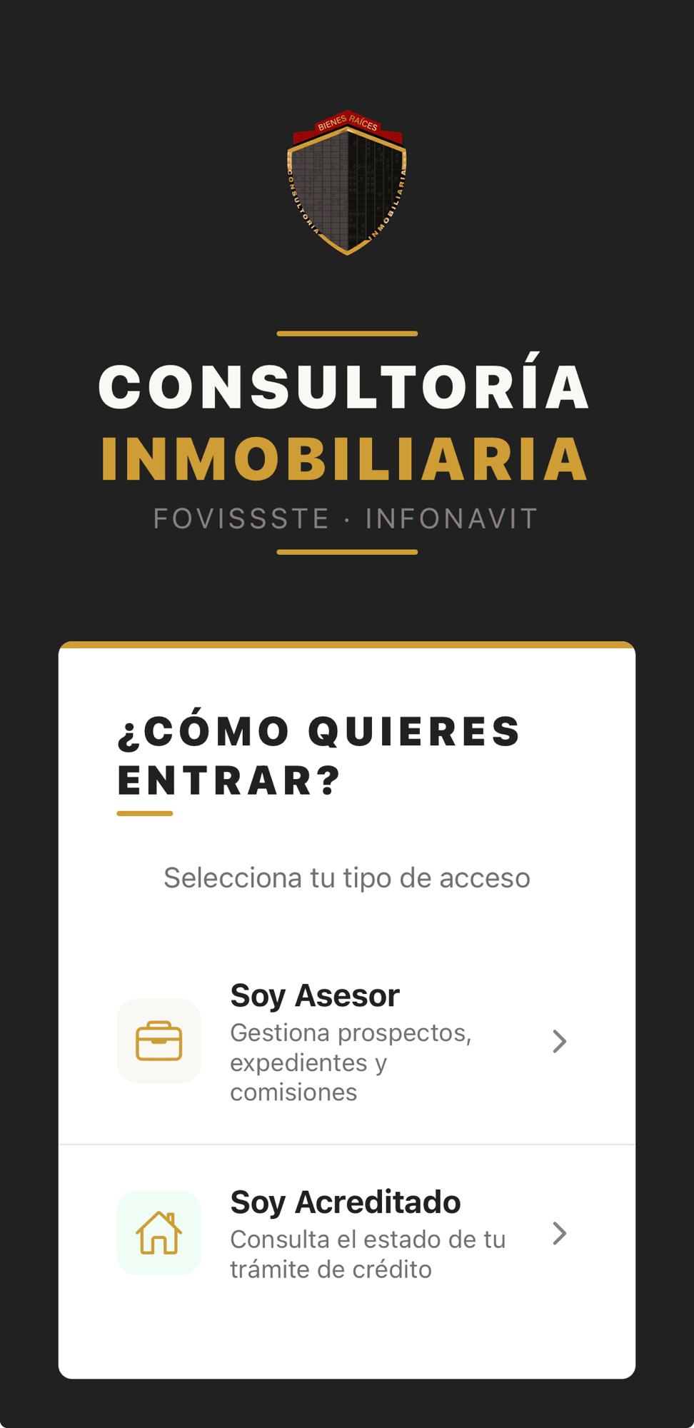 Pantalla de acceso de la app en iPhone — Consultoría Inmobiliaria